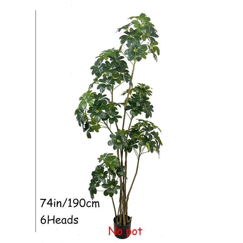 74 дюйма тропическое дерево, б – обзор и цена Dracaena Marginata