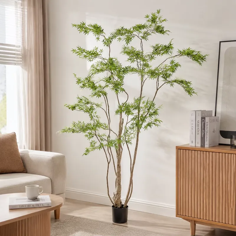 Реалистичное искусственное япо – обзор и цена Dracaena Marginata