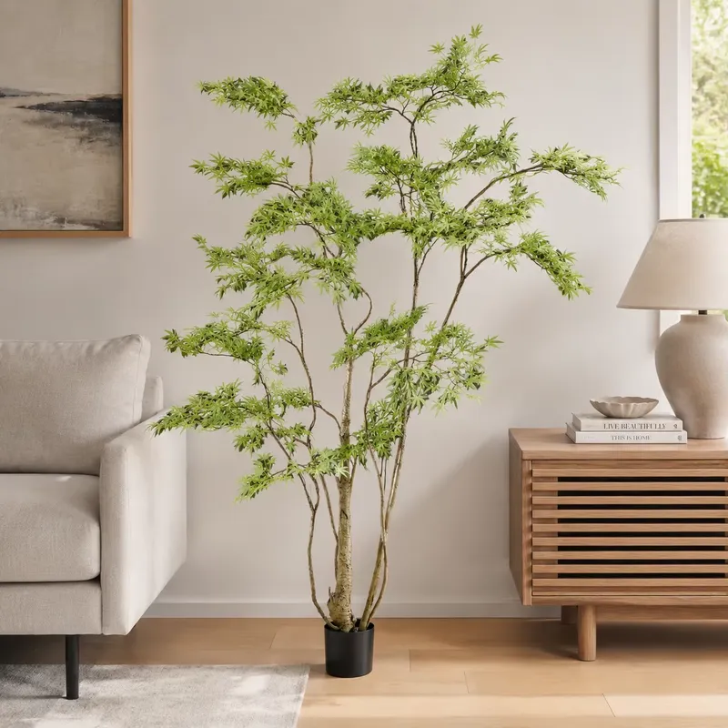 Реалистичное искусственное япо – обзор и цена Dracaena Marginata