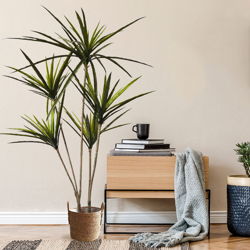 Большие искусственные драценны – обзор и цена Dracaena Marginata