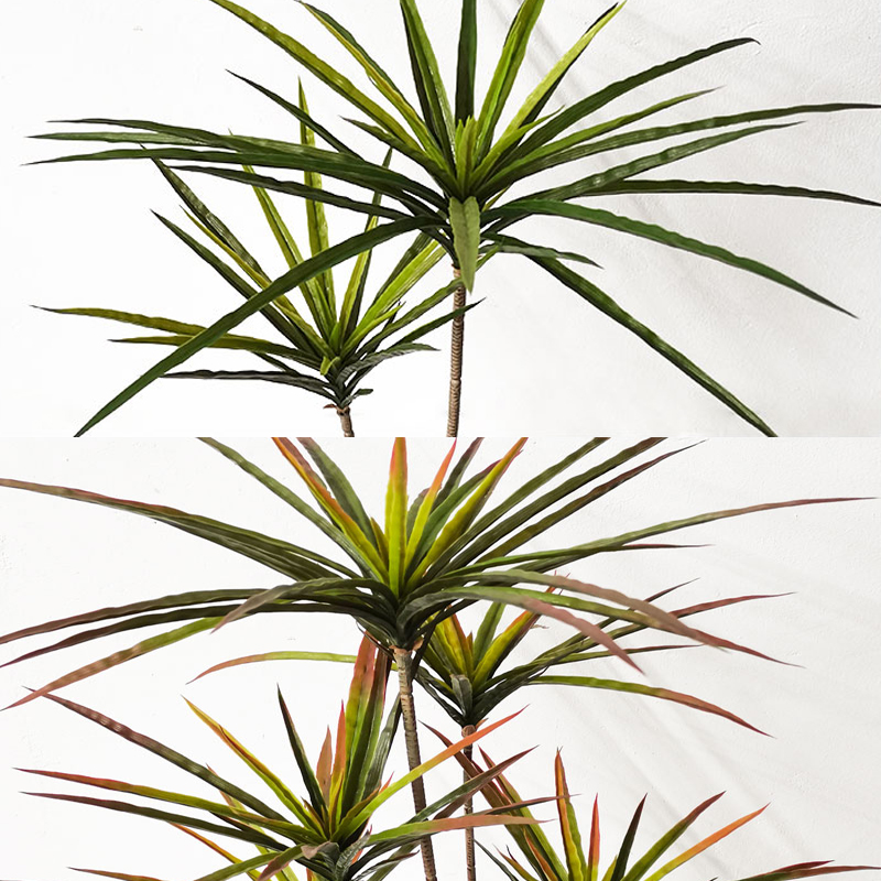 Большие искусственные драценны – обзор и цена Dracaena Marginata