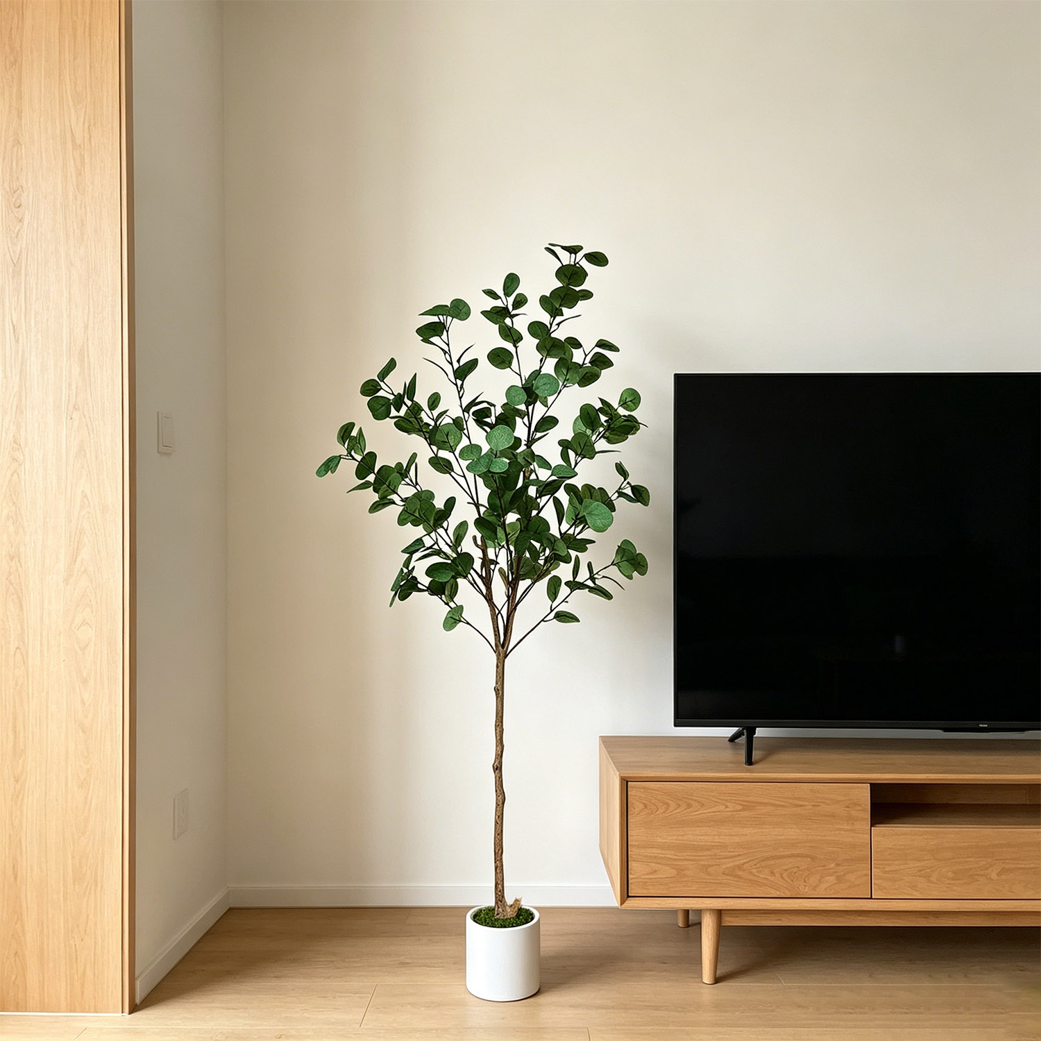 Искусственное дерево эвкалипта – обзор и цена Dracaena Marginata