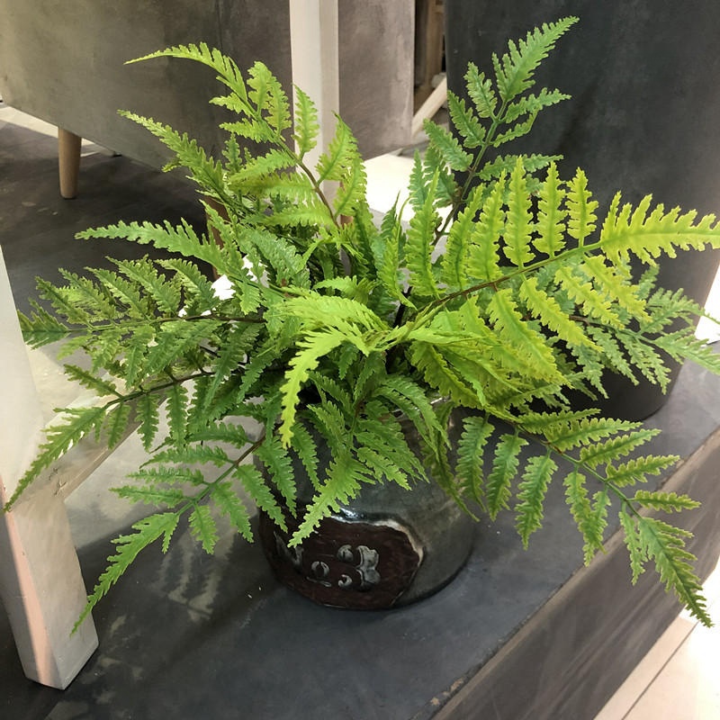 1 шт., искусственные растения, – обзор и цена Dracaena Marginata