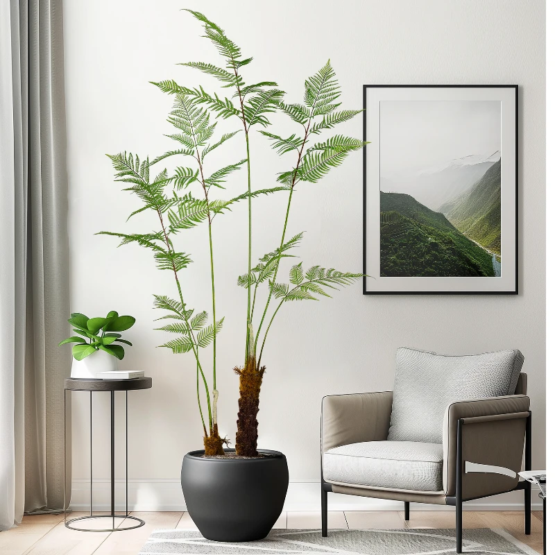 Большая имитация золотой обезь – обзор и цена Dracaena Marginata